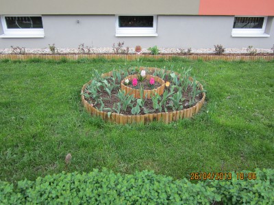 img_0446.jpg