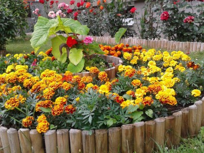20140630_120038.jpg