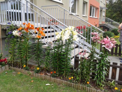 20140630_120559.jpg