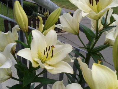 20140630_120700.jpg