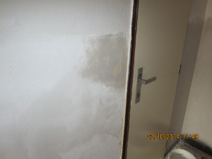 img_0498.jpg