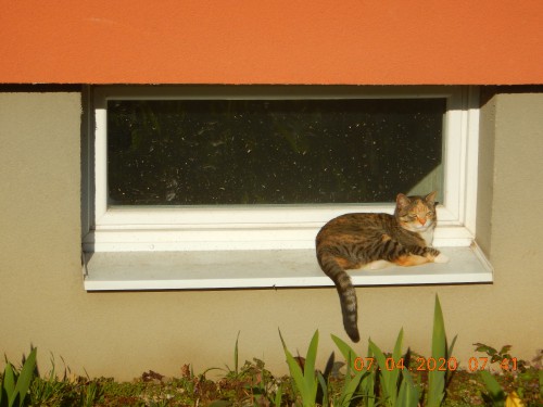 dscn7426.jpg